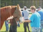  ?? KRISTI GARABRANDT — THE NEWS-HERALD ?? Sharen Carey, an Air Force veteran, interacts with a horse during the Operation Horses and Heroes Program at Hambden Hills Stables.