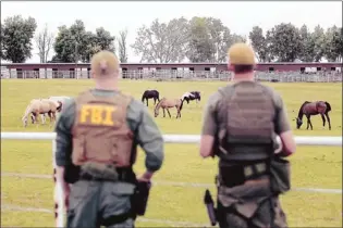  ?? Brett Deering Associated Press ?? FBI agents overlook a horse ranch under investigat­ion Tuesday in Lexington, Okla. The Oklahoma ranch and a prominent quarter horse track in New Mexico were raided as federal officials alleged a drug cartel used the horse businesses to launder money.