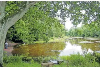  ?? FOTO: ANDREAS LANG ?? Der verkleiner­te Warndtweih­er im Juli 2011 – auch wo links der „Strand“zu sehen ist, war zuvor Wasser.