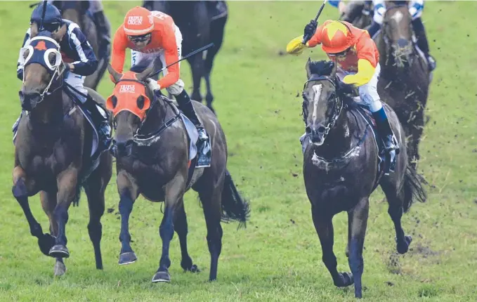  ??  ?? Russian Revolution (right) wins the Group 1 The Galaxy from stablemate Redzel (second from left) at Rosehill in March. Picture: JENNY EVANS