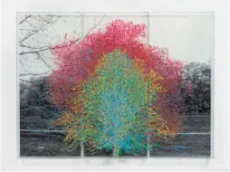  ??  ?? Charles Gaines, Numbers and Trees: Central Park Series I: Tree #9, 2016. Black and white photograph, acrylic on Plexiglass, 96 x 120 in. The Joyner/giuffrida Collection, S&S49.