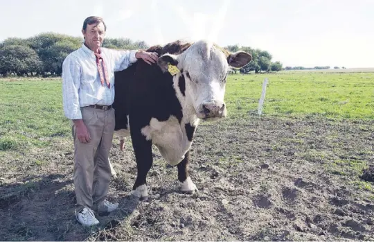  ??  ?? Orgullo. Fetter con uno de sus toros, cerca de General San Martín. Entre dos establecim­ientos, maneja 900 hectáreas. Allí llueven solo 580 milímetros anuales.