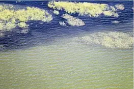  ?? SOUTH FLORIDA WATER MANAGEMENT DISTRICT/COURTESY ?? The latest algae bloom has reached from areas near Moore Haven to Pahokee.