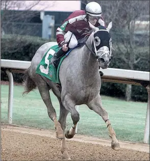  ?? The Sentinel-Record/RICHARD RASMUSSEN ?? Chanel’s Legacy, ridden by jockey Alex Birzer, won the Dixie Belle Stakes and the Martha Washington Stakes earlier this season at Oaklawn under the guidance of trainer Lynn Chleborad. The 3-year-old filly will look to win her third stakes race today in...