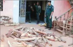  ?? SUPPLIED ?? Officials seize 2 tonnes of illegal rosewood on Saturday in Oddar Meanchey province.