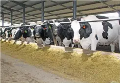  ?? LINDI BOTHA ?? Dairy farmers are battling low consumer demand amid global economic strain.