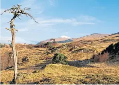  ??  ?? ● From top: Mist over the forest above Loch Tummel; The Enchanted Forest in Faskally Woods in Pitlochry; and looking towards Ben More from Glen Falloch, Stirlingsh­ire