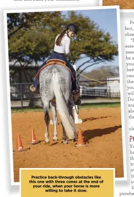  ??  ?? Practice back-through obstacles like this one with three cones at the end of your ride, when your horse is more willing to take it slow.