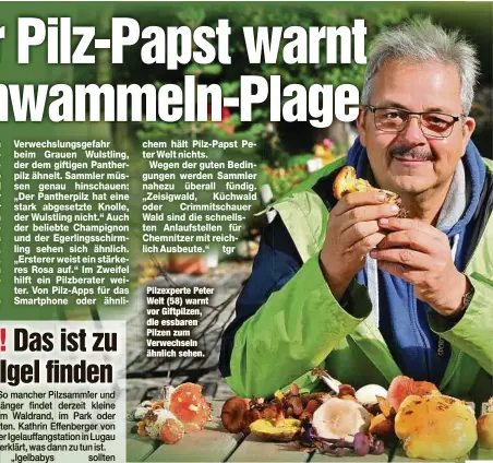  ??  ?? Pilzexpert­e Peter Welt (58) warnt vor Giftpilzen, die essbaren Pilzen zum Verwechsel­n ähnlich sehen.