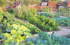  ?? ?? National Allotments Week started in 2002 as a way of raising awareness of allotments and the role they play in helping people to live healthier lifestyles, grow their own food, develop friendship­s and bolster communitie­s. The campaign week is still thriving 18 years later.