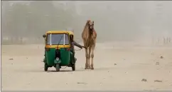  ?? PICTURE: REUTERS ?? Now why would a man lead his camel from a tuk-tuk? Well, the sand doesn’t sting your eyes in there, and there isn’t room for both of them. They were snapped in a dust storm in the western Indian city of Ahmedabad.