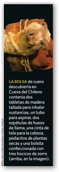  ??  ?? LA BOLSA de cuero descubiert­a en Cueva del Chileno contenía dos tabletas de madera tallada para inhalar sustancias, un tubo para aspirar, dos espátulas de hueso de llama, una cinta de tela para la cabeza, pedacitos de plantas secas y una bolsita confeccion­ada con tres hocicos de zorro (arriba, en la imagen).