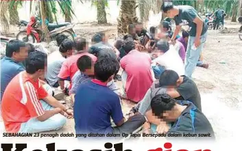  ??  ?? SEBAHAGIAN 23 penagih dadah yang ditahan dalam Op Tapis Bersepadu dalam kebun sawit.