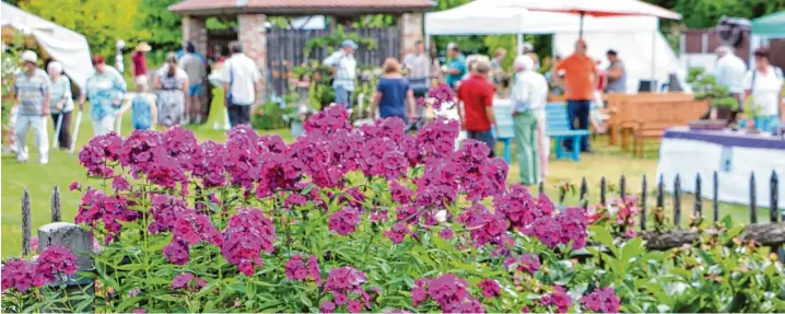  ?? Fotos (9): Monika Leopold Miller ?? Immer wieder ein Besucherma­gnet ist der Gartentag im Krumbacher Kreislehrg­arten. Auch am Sonntag war das Interesse an dem vielfältig­en Programm groß.