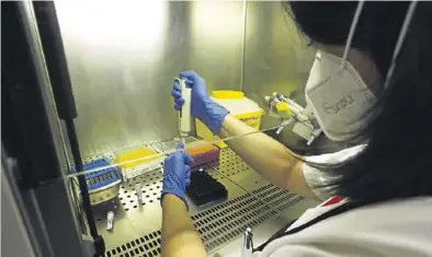  ?? JAIME GALINDO ?? Análisis de pruebas PCR en el laboratori­o de biosegurid­ad del servicio de Microbiolo­gía del Miguel Servet.