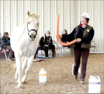  ?? JANELLE JESSEN ENTERPRISE-LEADER ?? Janet Kester’s horse Garrow trotted a perfect circle around her in the arena with no ropes or lines. Garrow followed the cones as a guide and the swimming pool noodle Kester was using as a target.