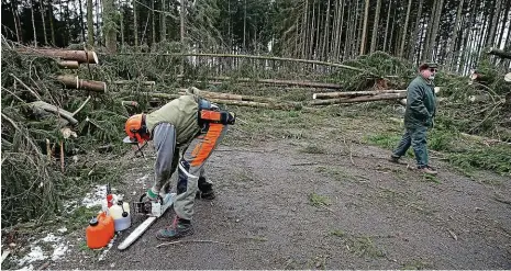  ?? FOTO MAFRA – PETR LEMBERK ?? Škody způsobené orkánem Eberhard půjdou podle odhadů pojišťoven do stovek milionů. Na snímku spoušť, kterou nadělal vítr v Nové Vsi.