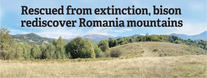  ?? — AFP photos ?? A panoramic view of the Tarcu mountains, a wild area where bisons live, next to the Armenis village, south of Timisoara, Romania.