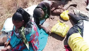  ?? Photo: Mohammed I. Yaba ?? Injured victims of a road accident near Olam Farms along the Kaduna-Abuja highway, before they were evacuated by soldiers yesterday