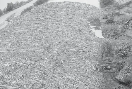  ?? DARRYL DYCK, THE CANADIAN PRESS ?? Workers use heavy equipment to clear logs from the swollen Fraser River, near Agassiz. Booms are placed in the river to direct debris into a trap so it can be removed.