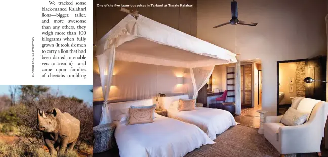  ??  ?? One of the five luxurious suites in Tarkuni at Tswalu Kalahari