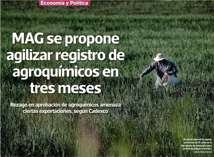  ?? JOHN DURÁN/ARCHIVO ?? Al sector agrícola le aqueja un retraso de 15 años en la inscripció­n de productos para control de plagas y hongos.