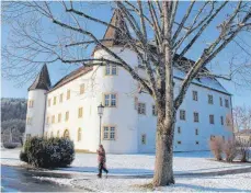  ?? FOTO: FREUDIG ?? „Im-Ort“-Geschenkgu­tscheine, auf denen auch das Obere Schloss abgebildet ist binden seit fast zehn Jahren die Kaufkraft innerhalb Immendinge­ns.