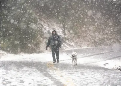  ?? Michael Short / Special to The Chronicle ?? John Komeily of Danville and his dog, Sheeva, walk through falling snow on Mount Diablo as the storm moved in.