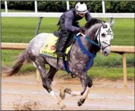  ?? AP/ GARRY JONES ?? Exercise rider Carlos Rosas takes 2016 Arkansas Derby winner Creator around the Churchill Downs track during a workout Monday in Louisville, Ky., in preparatio­n for Saturday’s Kentucky Derby.
