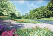  ?? Contribute­d photo ?? An artist’s rendering of what one stretch of the Norwalk River at Merwin Meadows Park might look like after the removal of the Dana Dam.