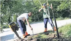  ?? NGZ-FOTO: LOTHAR BERNS ?? Mitarbeite­r der Wirtschaft­sbetriebe setzten gestern die Fundamente für Hinweistaf­eln, auf denen die Kunst im Finlay-Park erklärt wird.