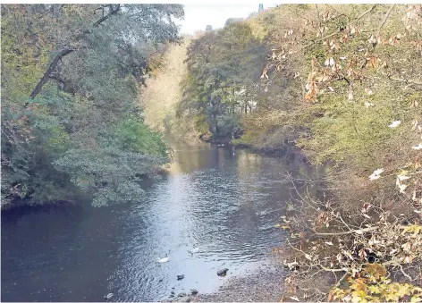  ?? FOTO: HDN (ARCHIV) ?? Idyllisch plätschert die Wupper durchs Bergische: Wer sich näher für den Fluss interessie­rt, erhält vom Wupperverb­and hilfreiche­s Kartenmate­rial.