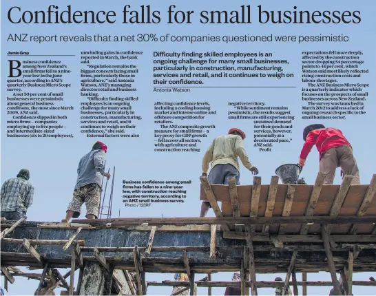  ??  ?? Jamie Gray Business confidence among small firms has fallen to a nine-year low, with constructi­on reaching negative territory, according to an ANZ small business survey.