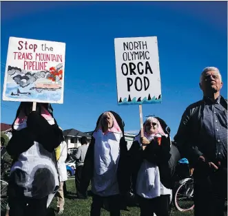  ?? CHAD HIPOLITO/THE CANADIAN PRESS ?? A new NDP-Green government in B.C. will be more sympatheti­c to environmen­tal activists than the previous Liberal government, which championed pipeline projects.