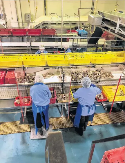  ??  ?? Food Processing Skills Canada recently launched a new program for the Atlantic region to support skills developmen­t in the food manufactur­ing sector.