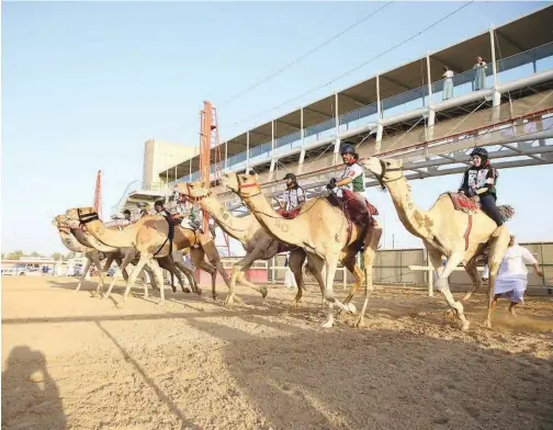  ?? ?? ↑
Emirati women can excel in all fields, including heritage sports.