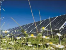  ??  ?? Solar Farm approved for Beaulieu