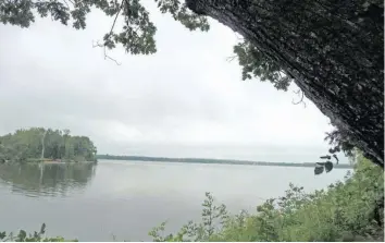  ?? —photo Frédéric Hountondji ?? Continuing to make progress on the environmen­tal front is part of the roadmap of Stéphane Lauzon, Member of Parliament for Argenteuil-La Petite Nation, who has made the management of water bodies and septic systems one of his priorities.