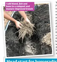  ??  ?? I add blood, fish and bone to a compost and manure-improved trench