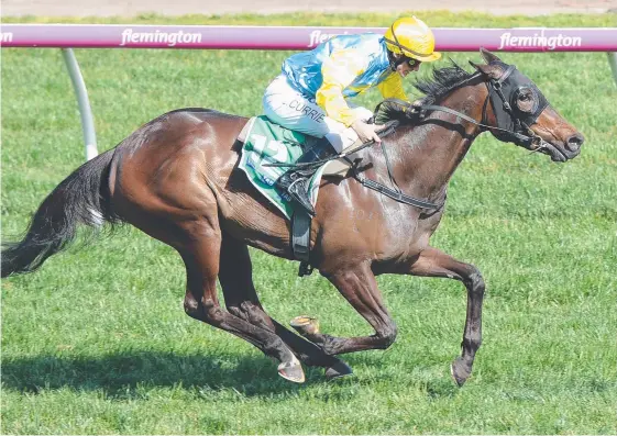  ?? Picture: AAP IMAGE ?? Bring Me Roses wins wearing blinkers at Flemington in the spring but she will race without them at Rosehill today.