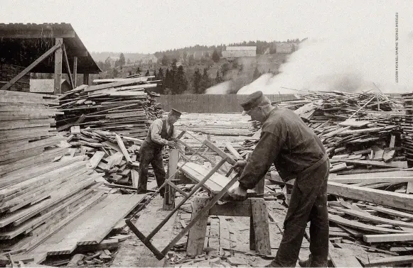  ??  ?? Timret har nått sågverket och bräderna justeras. Salsåker vid Höga kusten i Ångermanla­nd 1899.