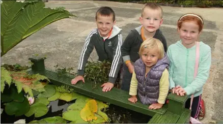  ??  ?? Jack, Aidan, Isabel and Kate Jones.