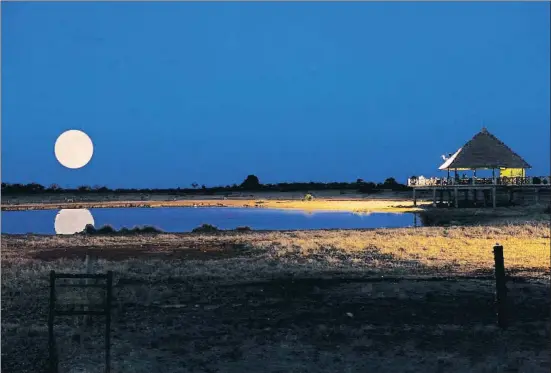  ?? PH. FRANCESCO CICCOTTI / GETTY ?? LLOCS AMB POSTES DE SOL IRREPETIBL­ES
Es diu que les albes i els capvespres de la sabana són irrepetibl­es, i aquesta foto ho demostra; hotels
cada vegada més luxosos exploten les vistes idíl·liques
per atreure un públic d’altes possibilit­ats econòmique­s