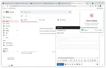  ?? Foto: Island ?? Der Island-Browser hindert einen Nutzer daran, Unternehme­nsdaten aus einer wichtigen Anwendung zu übernehmen und den Inhalt an sein persönlich­es Gmail-Konto zu senden.