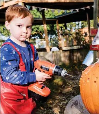  ??  ?? Hold on tight! Four-year-old year-old Flynn drills into a pumpkin at Dandelion Education