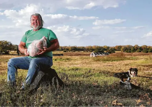  ?? Jon Shapley / Staff photograph­er ?? Even with most of his restaurant clients closed and traditiona­l Thanksgivi­ng celebratio­ns in limbo, Michael Marchand, who co-owns Whitehurst Heritage Farms with his wife, sold out of his 90 whole turkeys.