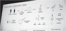  ?? KIN CHEUNG/AP ?? If it took place as described, the announceme­nt by a team of Chinese researcher­s that they edited the DNA of two human embryos together crossed ethical and safety lines.