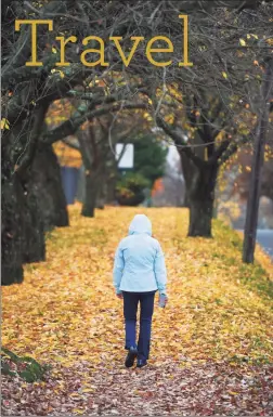  ?? Tyler Sizemore / Hearst Connecticu­t Media file photo ?? A woman walks along a sidewalk strewn with colorful foliage on William Street in Greenwich, on Nov. 11, 2020.