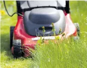  ??  ?? Newly cut grass is among favourite scents