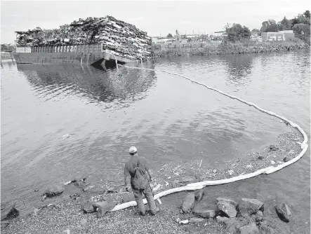  ?? DARREN STONE, TIMES COLONIST ?? Mike Taylor looks at debris while a boom is used to contain fluids leaking from scrap cars in the Gorge waterway.